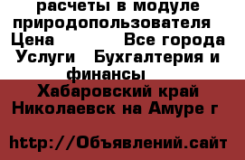 расчеты в модуле природопользователя › Цена ­ 3 000 - Все города Услуги » Бухгалтерия и финансы   . Хабаровский край,Николаевск-на-Амуре г.